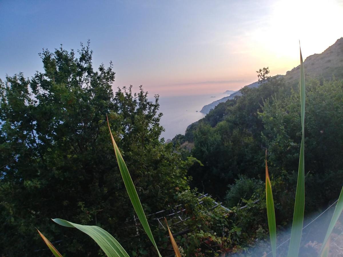 Giardino Sul Mare Apartment Amalfi Exterior photo